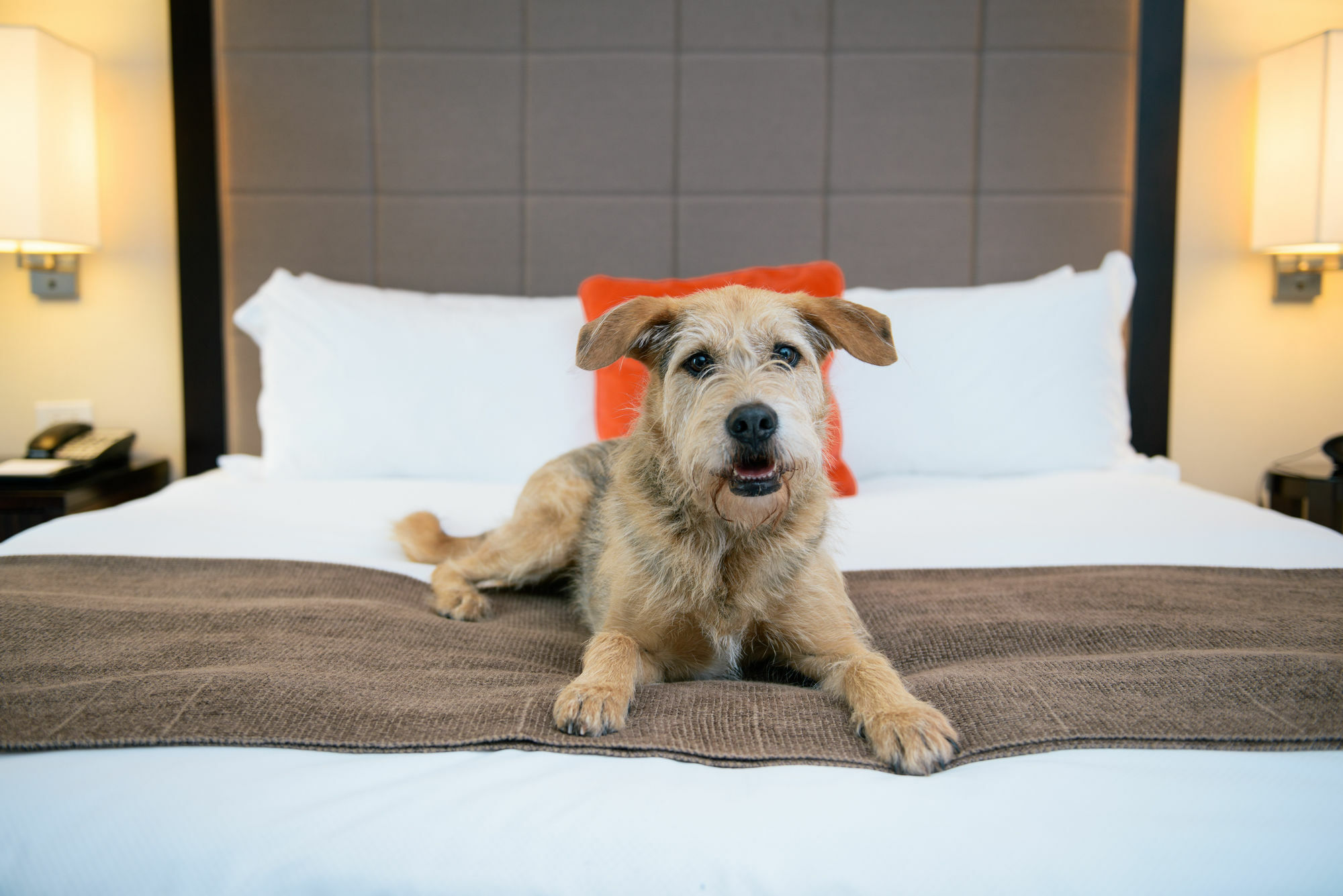 Candlewood Suites Charleston-Northwoods By Ihg North Charleston Kültér fotó